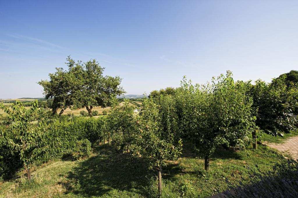 Agriturismo I Roseti Villa Montepulciano Room photo