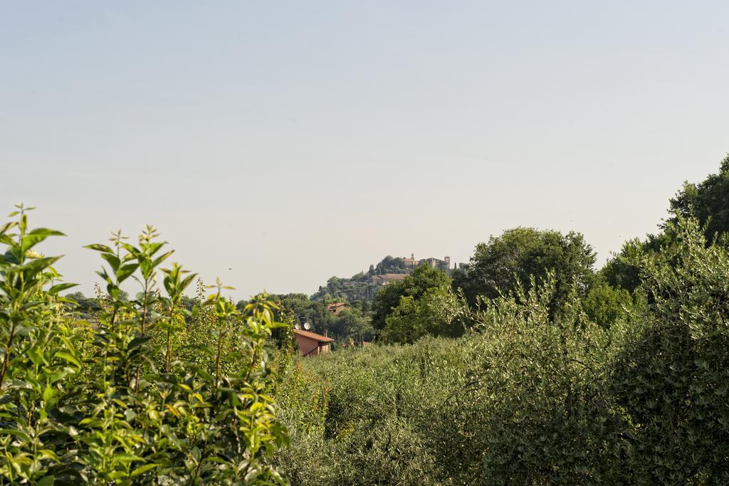 Agriturismo I Roseti Villa Montepulciano Room photo